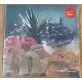 Staring At Clocks (Crystal Clear Vinyl)