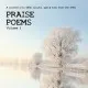 Praise Poems 3 - 2x12"