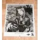 Joy Lynn White Signed Picture 